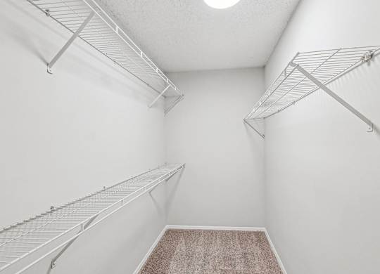 A walk-in closet with white walls and a brown carpet.