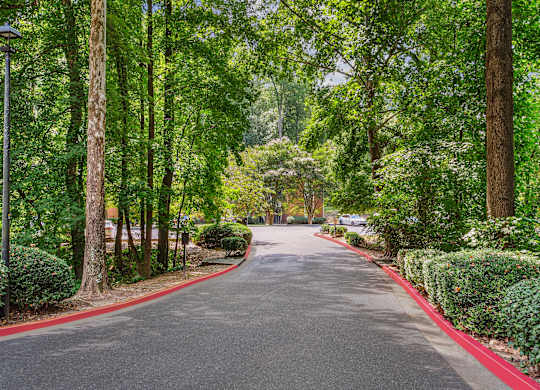 A tree-lined street with a red curb on the side.
