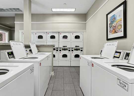 A row of washing machines in a laundromat at Elme Druid Hills, Atlanta, Georgia