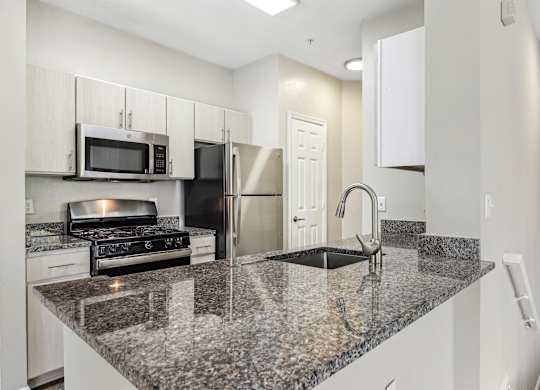A kitchen with granite countertops and stainless steel appliances at Elme Dulles, Herndon, VA