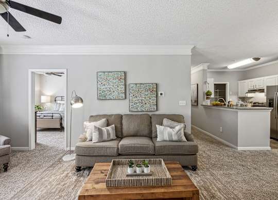 A living room with a grey couch and a coffee table.