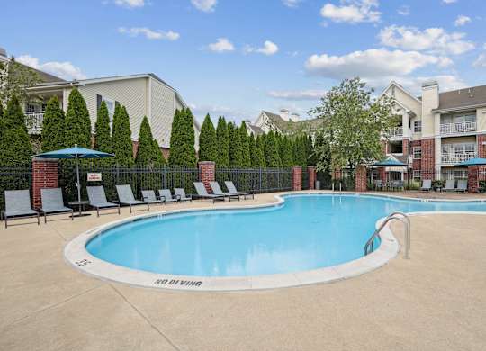 A swimming pool surrounded by trees and chairs.