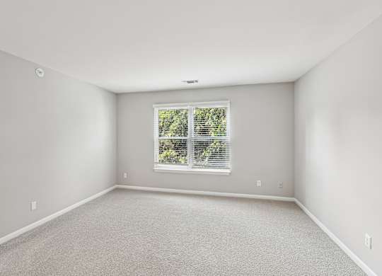 A room with a window and carpeted floor.