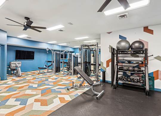 A gym with a variety of equipment including a bench press, a squat rack, and a weight rack at Elme Manassas, Manassas, 20109