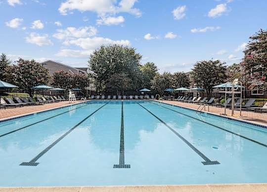 A large outdoor swimming pool with sun loungers on the side at Elme Manassas, Manassas, 20109