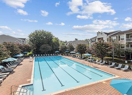 A large outdoor swimming pool surrounded by sun loungers and umbrellas at Elme Manassas, Manassas, 20109