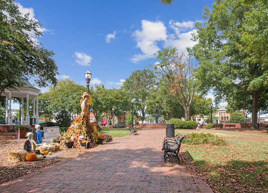 Outdoor space at Elme Marietta Apartments, Marietta, GA