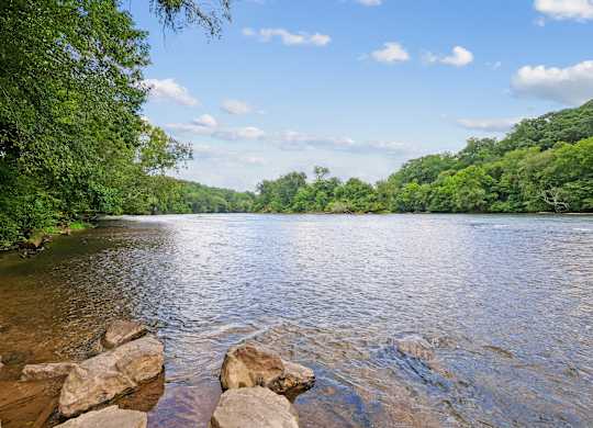 A river flows through a forested area with rocks in the foreground.