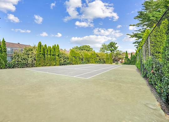 Tennis court surrounded by green trees and bushes at Elme Watkins Mill, Gaithersburg