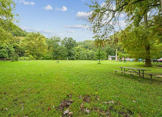 A grassy field with a picnic table and trees in the background.