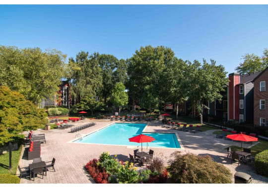 Pool at Elme Druid Hills, Atlanta, GA 30329