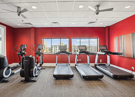 A gym with treadmills, elliptical machines, and stationary bikes  at The Paramount, Arlington, Virginia