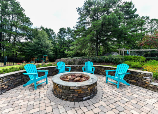 Fire Pit at Elme Sandy Springs Apartments, Atlanta, Georgia