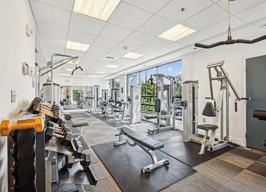 A gym with a variety of equipment including a squat rack, bench, and weights at Riverside Apartments, Alexandria, Virginia