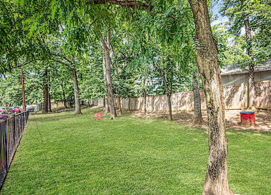 A backyard with a fence, a tree, and a red object in the distance  at Roosevelt Towers, Falls Church, VA
