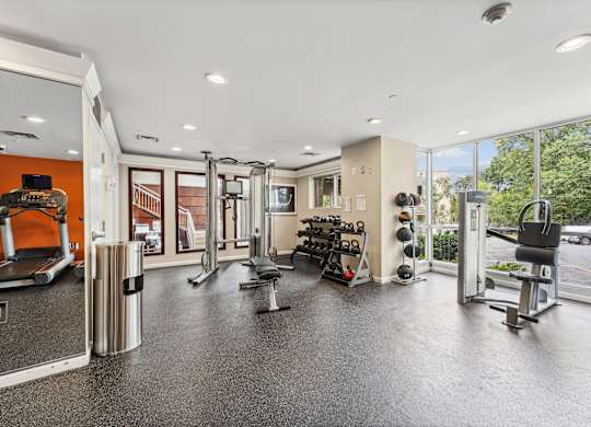 A spacious gym with a variety of equipment including treadmills, weights, and exercise machines  at Roosevelt Towers, Falls Church, VA