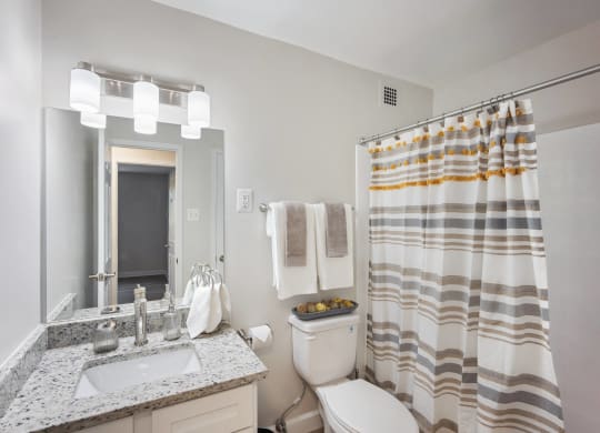 Renovated bathroom with updated vanity and shower and Roosevelt Towers, Falls Church, VA