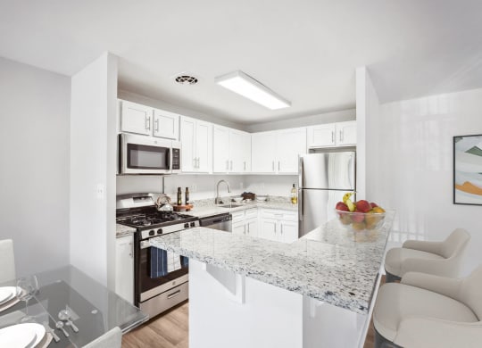 Renovated kitchen with stainless steel appliances and granite countertops at Roosevelt Towers, Falls Church, VA