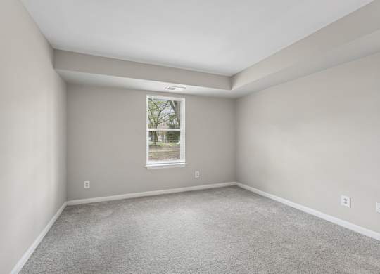 A room with a window showing a tree outside.