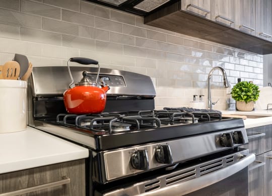Kitchen Stove at Trove Apartments, Virginia