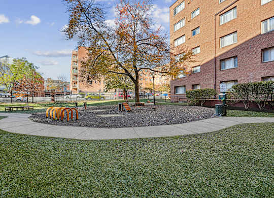 A tree in a circle of gravel is the focal point of a courtyard.