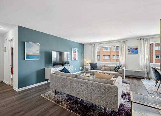 A living room with a grey couch and a rug.