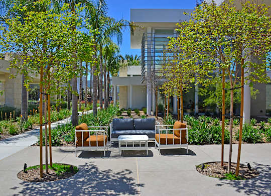 A modern building with a patio area surrounded by trees and chairs.