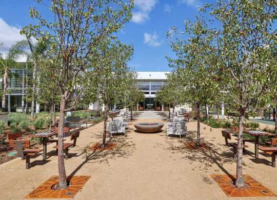 a courtyard with benches and trees and a building in the background at The Max on Jefferson Apartments, Murrieta, CA, 92562