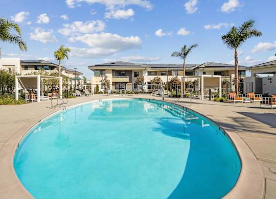 A large swimming pool in front of a building with palm trees. at The Max on Jefferson Apartments, Murrieta