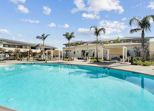 A large swimming pool in front of a building with palm trees at The Max on Jefferson Apartments, California