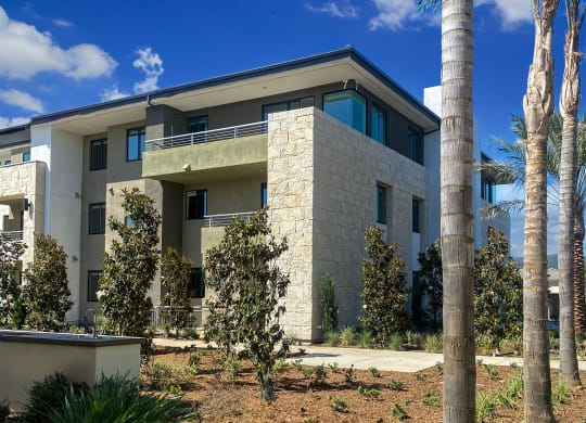 a view of a house with palm trees in front of it at The Max on Jefferson Apartments, Murrieta, California