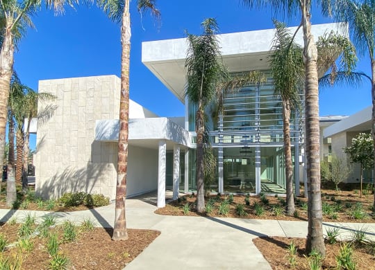a building with palm trees in front of it at The Max on Jefferson Apartments, Murrieta, CA