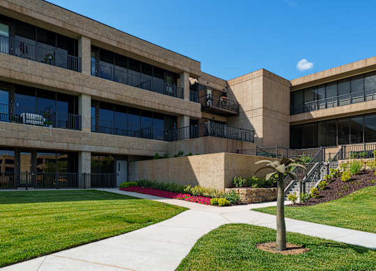 A building with a palm tree in front.