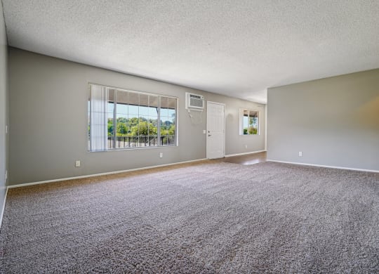 an empty living room with carpet and a window
