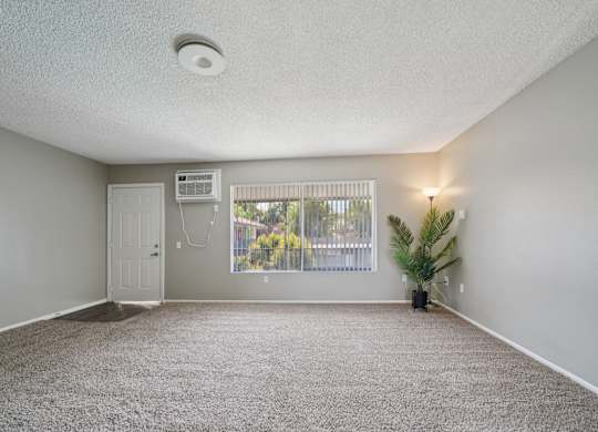 A room with a carpeted floor and a window with blinds.