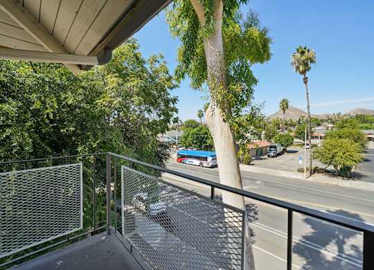A view from a balcony overlooking a street with cars and palm trees.