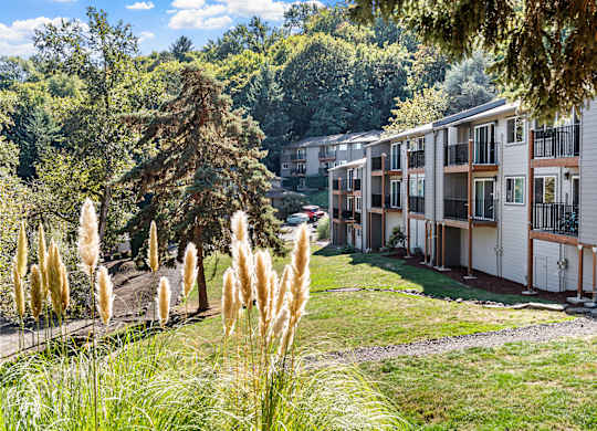 Green area with trees and an apartment building