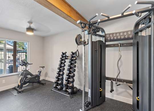A well-equipped home gym with a variety of exercise machines.