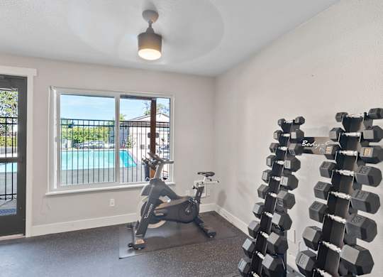 A room with a row of dumbbells on the right and a treadmill on the left.