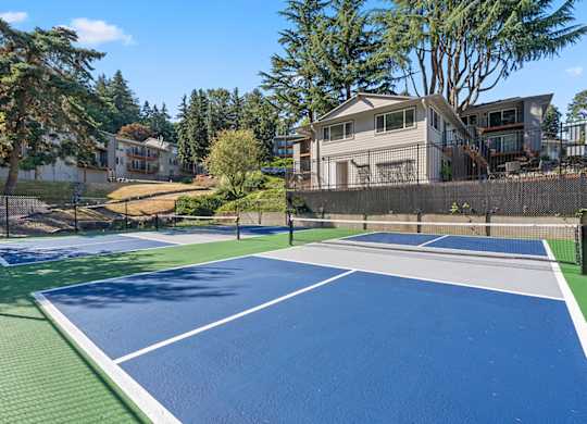 A tennis court with a green border and a blue surface.