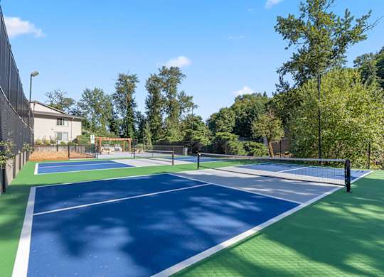 A tennis court with a net and trees in the background.