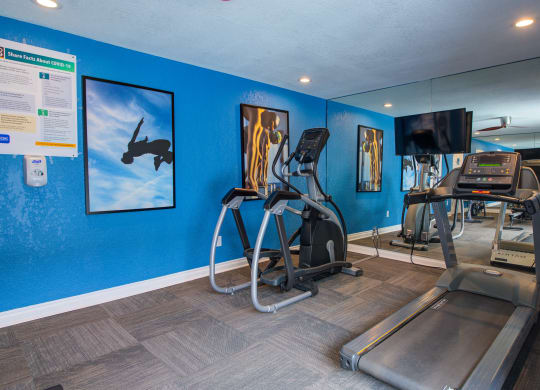 the gym at the enclave at woodbridge apartments in sugar land, tx at Dwell Apartment Homes, Riverside