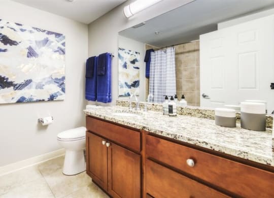 Luxurious Bathroom at Renew Five Ninety Five, Illinois