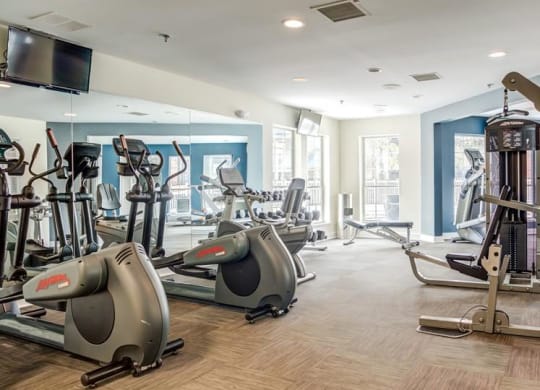 Fitness Center at The Mark Apartments, Glendale Heights