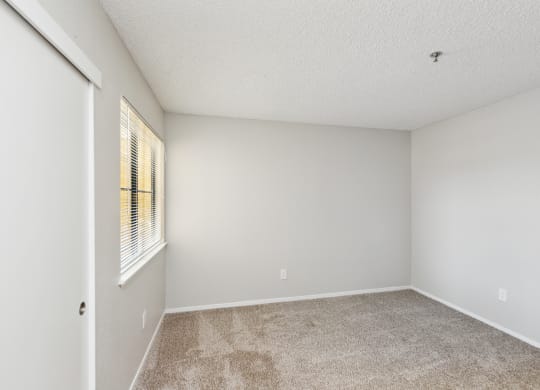 Wall-To-Wall Carpeting at ReNew on Summerfield, California