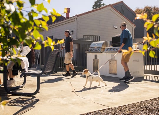 a man is standing on a patio with a dog