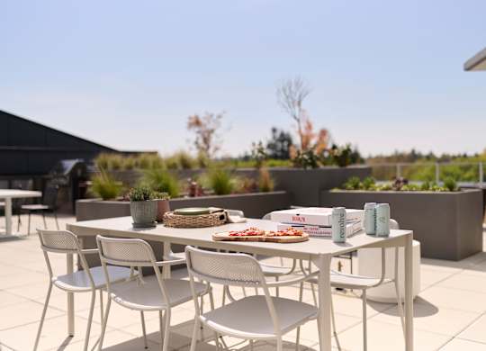 A table with chairs and a potted plant on a patio.