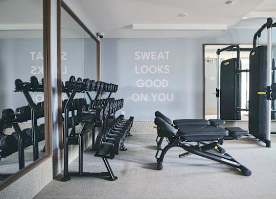 A gym with a mirror, weights, and a bench with the words