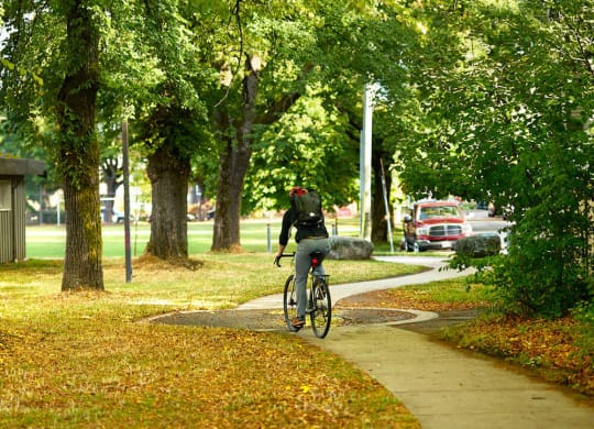 a person riding a bike down a sidewalk in a park