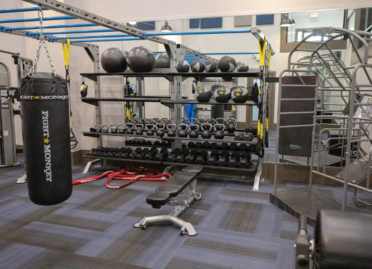 Wynnwood Vinings Atlanta fitness room with weights and a punching bag